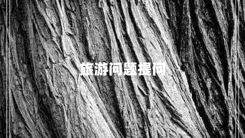 旅游问题提问 旅游问题提问