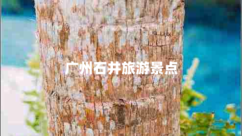 广州石井旅游景点
