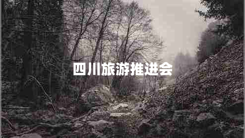 四川旅游推进会