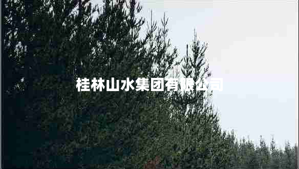 桂林山水集团有限公司