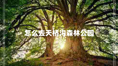 怎么去天桥沟森林公园 怎么去天桥沟森林公园