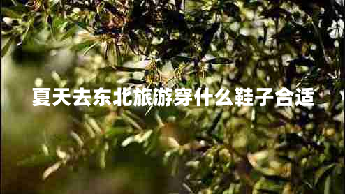 夏天去东北旅游穿什么鞋子合适