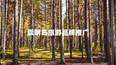 崇明岛旅游品牌推广