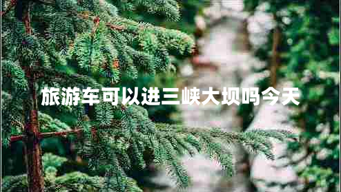 旅游车可以进三峡大坝吗今天