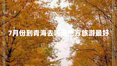 7月份到青海去哪些地方旅游最好