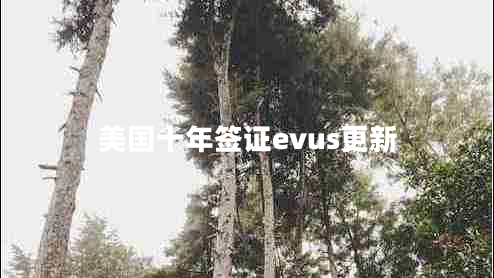 美国十年签证evus更新