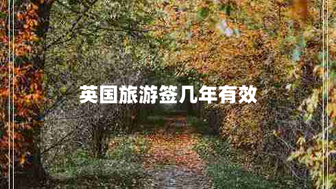 英国旅游签几年有效