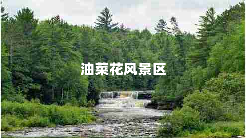 油菜花风景区