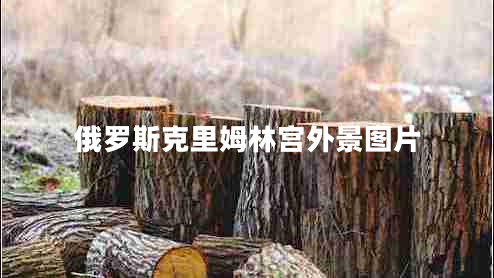 俄罗斯克里姆林宫外景图片