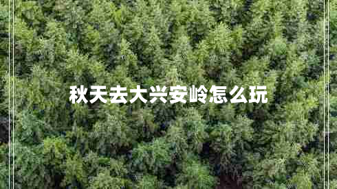 秋天去大兴安岭怎么玩