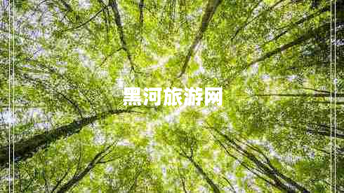 黑河旅游网