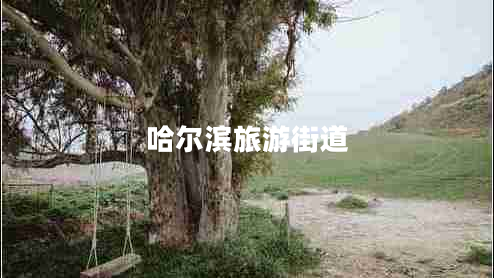 哈尔滨旅游街道