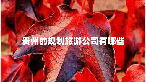贵州的规划旅游公司有哪些