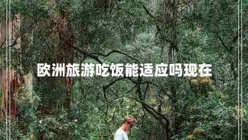 欧洲旅游吃饭能适应吗现在