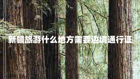 新疆旅游什么地方需要边境通行证