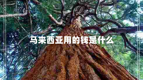 马来西亚用的钱是什么