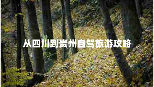 从四川到贵州自驾旅游攻略