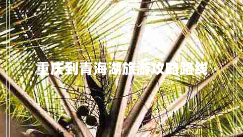 重庆到青海湖旅游攻略路线 重庆到青海湖旅游攻略路线