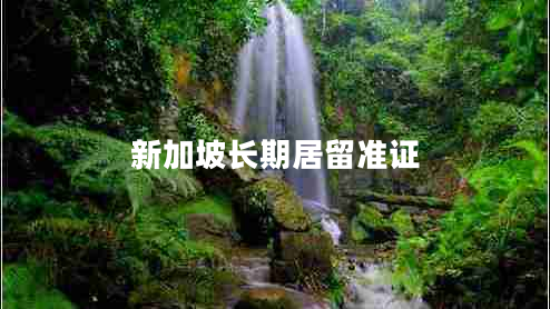 新加坡长期居留准证