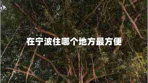 在宁波住哪个地方最方便