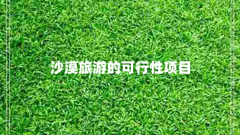 沙漠旅游的可行性项目