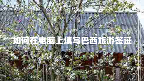 如何在电脑上填写巴西旅游签证