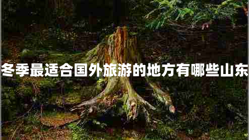 冬季最适合国外旅游的地方有哪些山东