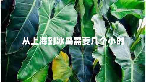 从上海到冰岛需要几个小时