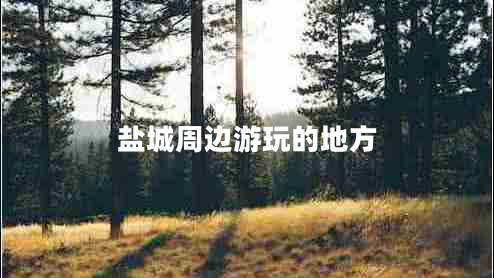 盐城周边游玩的地方