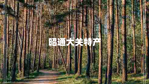 昭通大关特产