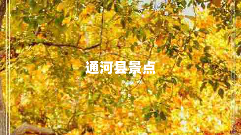 通河县景点