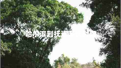 哈尔滨到抚远多长时间