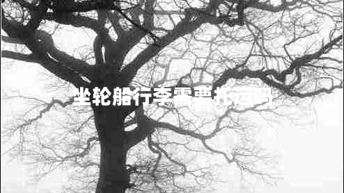 坐轮船行李需要托运吗 坐轮船行李需要托运吗