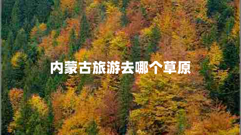 内蒙古旅游去哪个草原