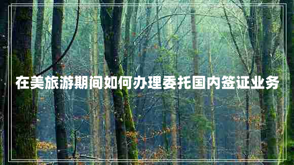 在美旅游期间如何办理委托国内签证业务
