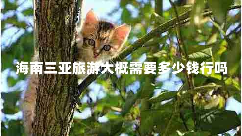 海南三亚旅游大概需要多少钱行吗