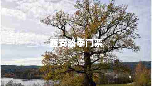 西安淡季门票