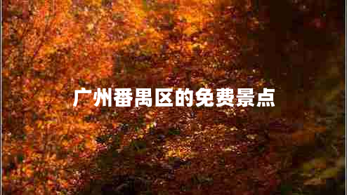 广州番禺区的免费景点
