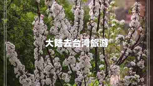 大陆去台湾旅游