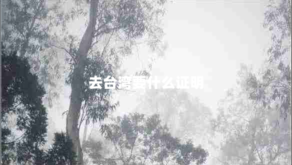 去台湾要什么证明