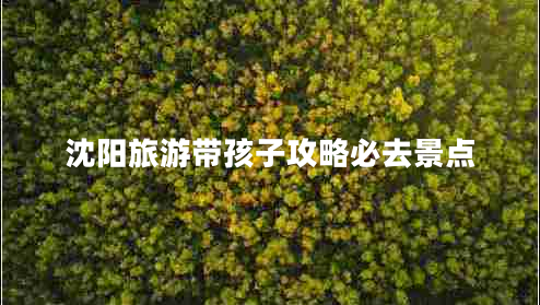 沈阳旅游带孩子攻略必去景点