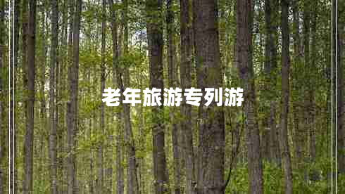 老年旅游专列游