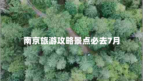 南京旅游攻略景点必去7月