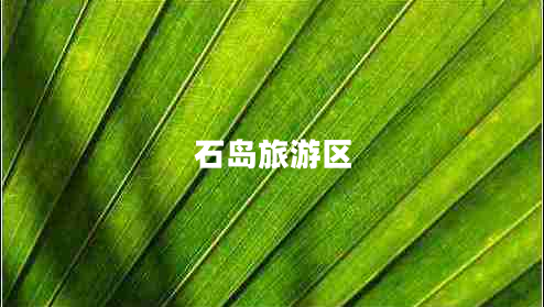 石岛旅游区 石岛旅游区