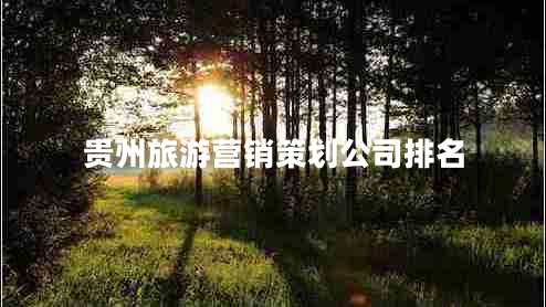 贵州旅游营销策划公司排名