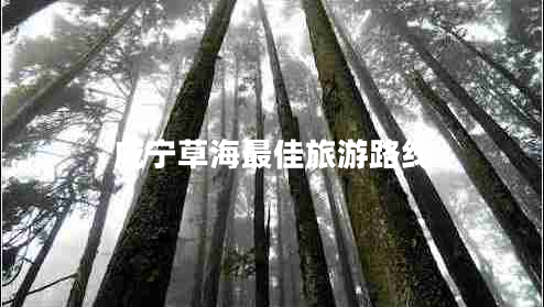 威宁草海最佳旅游路线