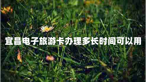宜昌电子旅游卡办理多长时间可以用