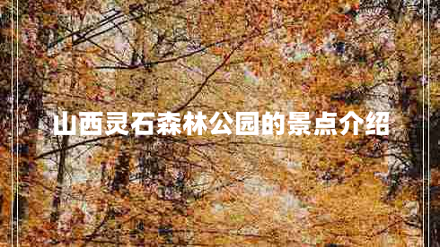 山西灵石森林公园的景点介绍