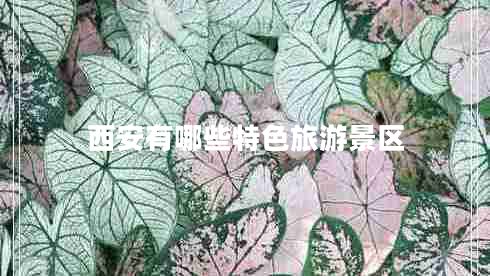 西安有哪些特色旅游景区 西安有哪些特色旅游景区