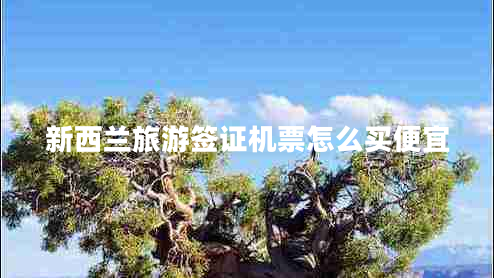 新西兰旅游签证机票怎么买便宜